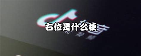 右位 意思|右位是什么梗